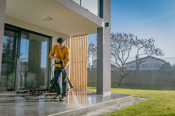 Best Solar Panel Cleaning  in Cloverleaf, TX